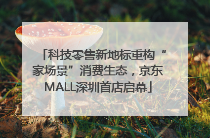 科技零售新地标重构“家场景”消费生态，京东MALL深圳首店启幕