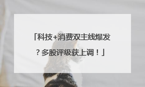 科技+消费双主线爆发？多股评级获上调！