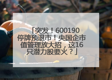 突发！600190停牌预退市！央国企市值管理放大招，这16只潜力股要火？