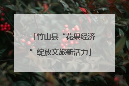竹山县“花果经济”绽放文旅新活力