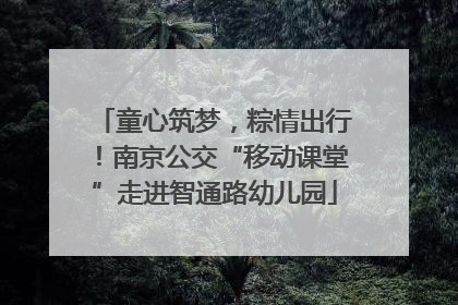 童心筑梦，粽情出行！南京公交“移动课堂”走进智通路幼儿园