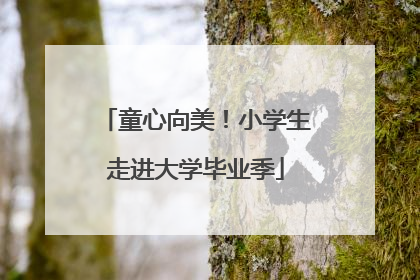 童心向美！小学生走进大学毕业季