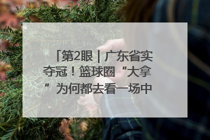第2眼｜广东省实夺冠！篮球圈“大拿”为何都去看一场中学生比赛？