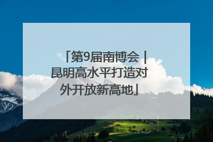 第9届南博会｜昆明高水平打造对外开放新高地