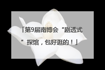 第9届南博会“剧透式”探馆，包好逛的！