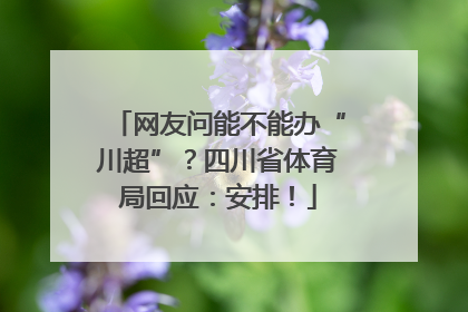 网友问能不能办“川超”？四川省体育局回应：安排！