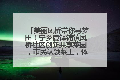 美丽凤桥带你寻梦田！宁乡夏铎铺镇凤桥社区创新共享菜园，市民认领菜土，体验耕种收获乐趣
