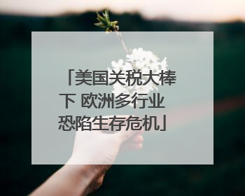 美国关税大棒下 欧洲多行业恐陷生存危机