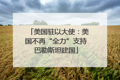 美国驻以大使：美国不再“全力”支持巴勒斯坦建国
