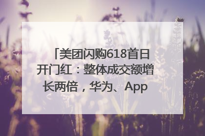 美团闪购618首日开门红：整体成交额增长两倍，华为、Apple、沃尔玛等近800个品牌翻倍增长