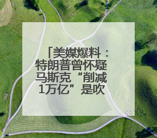 美媒爆料：特朗普曾怀疑马斯克“削减1万亿”是吹牛
