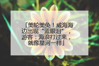美轮美奂！威海海边出现“蓝眼泪”，游客：海浪打过来，就像星河一样