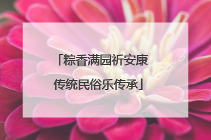 粽香满园祈安康 传统民俗乐传承