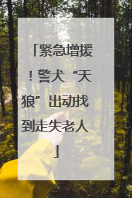 紧急增援！警犬“天狼”出动找到走失老人