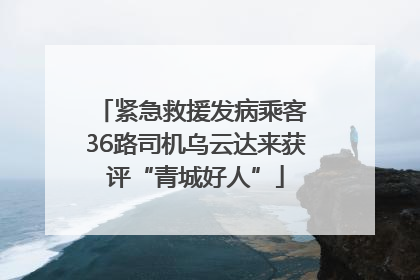 紧急救援发病乘客 36路司机乌云达来获评“青城好人”