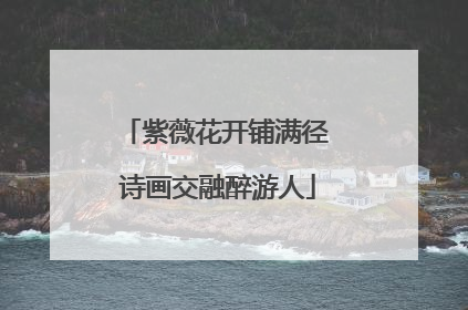 紫薇花开铺满径 诗画交融醉游人