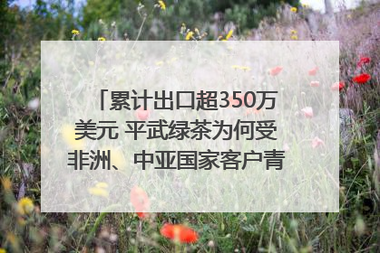 累计出口超350万美元 平武绿茶为何受非洲、中亚国家客户青睐？｜发布会观察