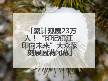 累计观展23万人！“印记镇江 印向未来”大众篆刻展圆满闭幕