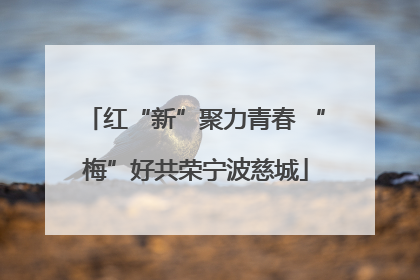 红“新”聚力青春 “梅”好共荣宁波慈城