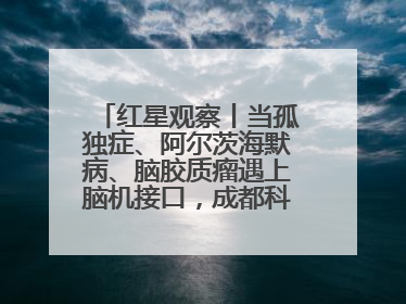 红星观察丨当孤独症、阿尔茨海默病、脑胶质瘤遇上脑机接口，成都科研改变医学图景