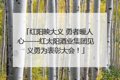 红阳映大义 勇者暖人心——红太阳酒业集团见义勇为表彰大会！