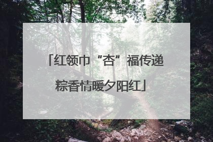 红领巾“杏”福传递 粽香情暖夕阳红