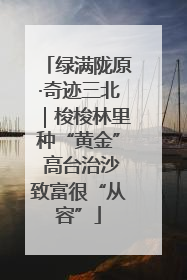 绿满陇原·奇迹三北｜梭梭林里种“黄金” 高台治沙致富很“从容”