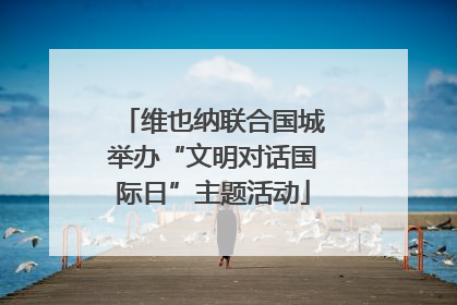 维也纳联合国城举办“文明对话国际日”主题活动