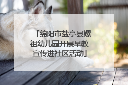 绵阳市盐亭县嫘祖幼儿园开展早教宣传进社区活动