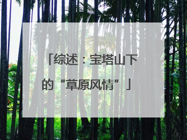 综述：宝塔山下的“草原风情”