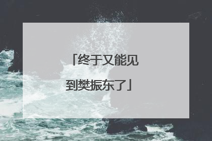 终于又能见到樊振东了