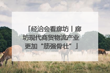 经洽会看廊坊丨廊坊现代商贸物流产业更加“筋强骨壮”