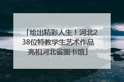 绘出精彩人生！河北238位特教学生艺术作品亮相河北省图书馆