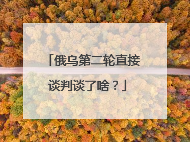 俄乌第二轮直接谈判谈了啥？