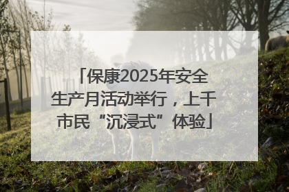 保康2025年安全生产月活动举行，上千市民“沉浸式”体验