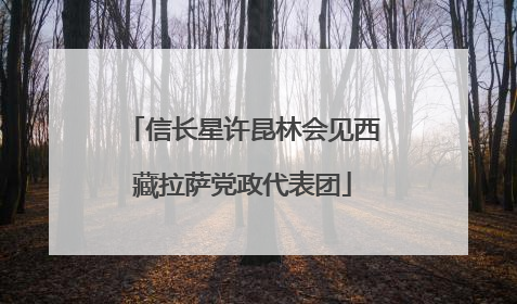 信长星许昆林会见西藏拉萨党政代表团