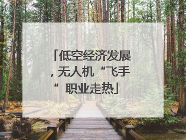 低空经济发展，无人机“飞手”职业走热