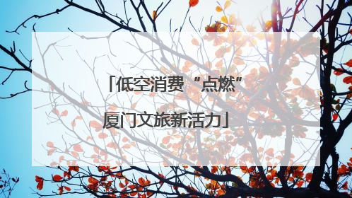 低空消费“点燃”厦门文旅新活力