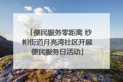 便民服务零距离 纱帽街道月亮湾社区开展便民服务日活动