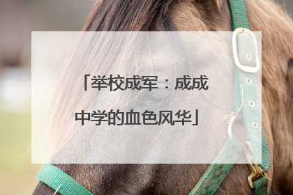 举校成军：成成中学的血色风华