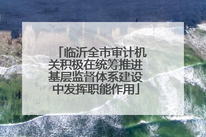 临沂全市审计机关积极在统筹推进基层监督体系建设中发挥职能作用