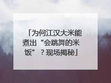 为何江汉大米能煮出“会跳舞的米饭”？现场揭秘