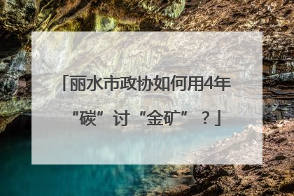 丽水市政协如何用4年“碳”讨“金矿”？