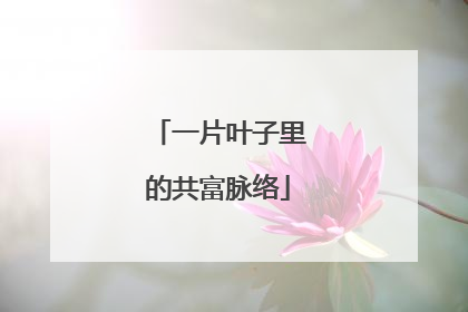 一片叶子里的共富脉络