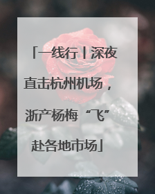 一线行丨深夜直击杭州机场，浙产杨梅“飞”赴各地市场