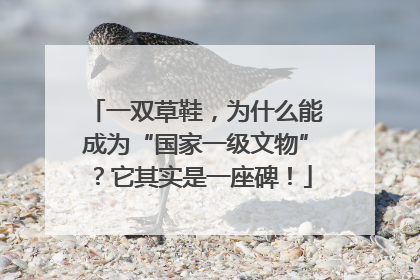 一双草鞋，为什么能成为“国家一级文物”？它其实是一座碑！