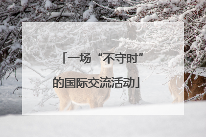 一场“不守时”的国际交流活动
