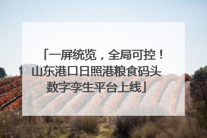 一屏统览，全局可控！山东港口日照港粮食码头数字孪生平台上线