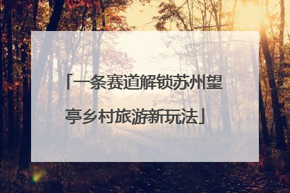 一条赛道解锁苏州望亭乡村旅游新玩法