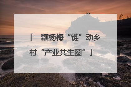 一颗杨梅“链”动乡村“产业共生圈”